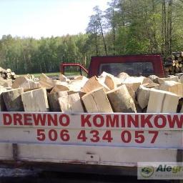 Jak kupić drewno z lasów państwowych